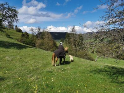 Eine Person reitet auf einem kleinen Pony über eine grüne Wiese, begleitet von einem Hund. Der Himmel ist blau mit einigen Wolken und die Landschaft ist von Hügeln und Bäumen geprägt. Die Szene wirkt friedlich und idyllisch.