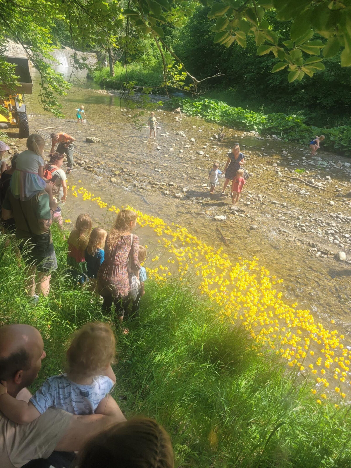 Eine Gruppe von Menschen, darunter viele Kinder, steht am Ufer eines flachen Flusses und beobachtet eine große Anzahl gelber Gummienten, die im Wasser treiben. Die Umgebung ist grün und bewaldet, und das Wetter ist sonnig.