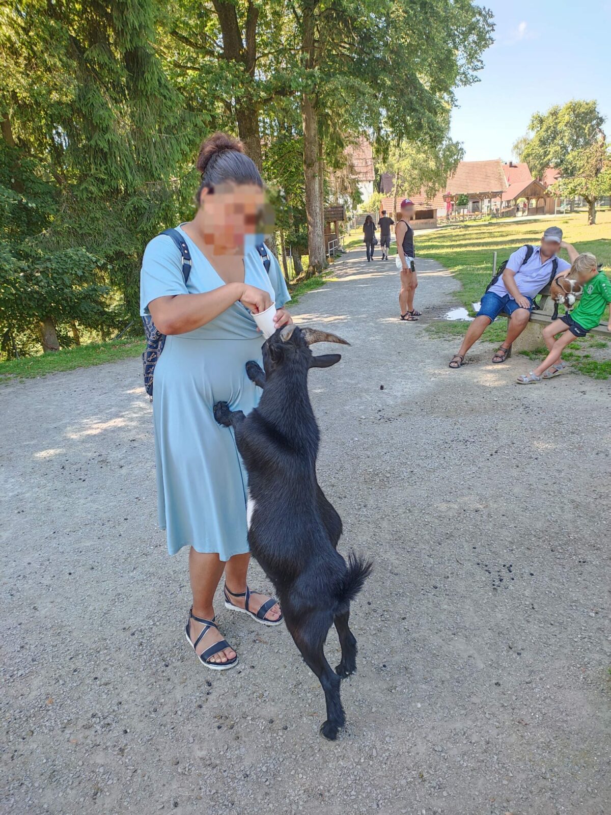 Eine Frau in einem hellblauen Kleid füttert eine schwarze Ziege, die auf ihren Hinterbeinen steht. Im Hintergrund befinden sich mehrere Personen, darunter ein Mann und ein Kind, die auf einer Bank sitzen. Die Szene spielt sich in einem Park mit grünen Bäumen und einem gepflasterten Weg ab.