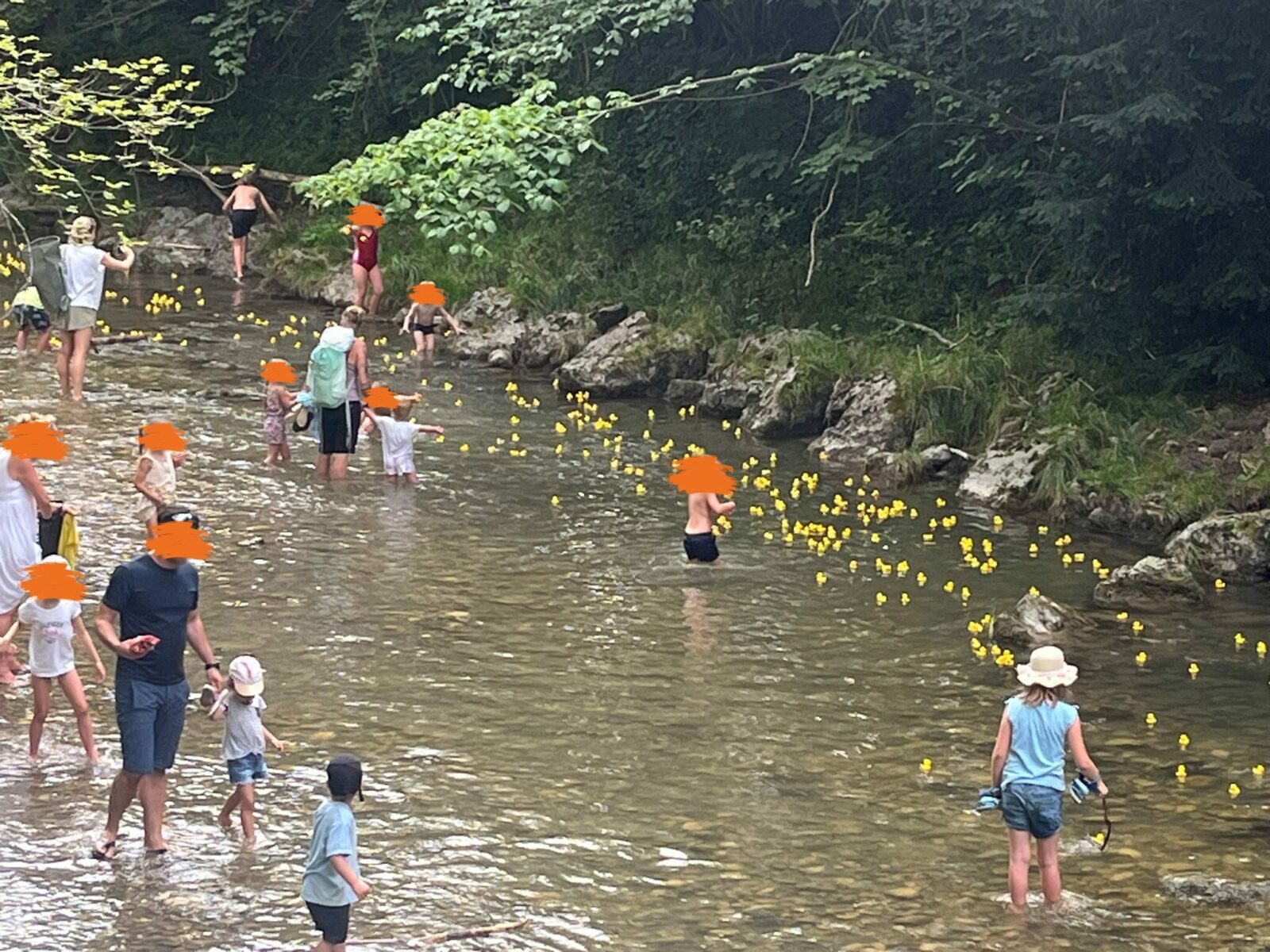 Mehrere Kinder und Erwachsene stehen in einem flachen Fluss, während zahlreiche gelbe Gummienten auf dem Wasser treiben.