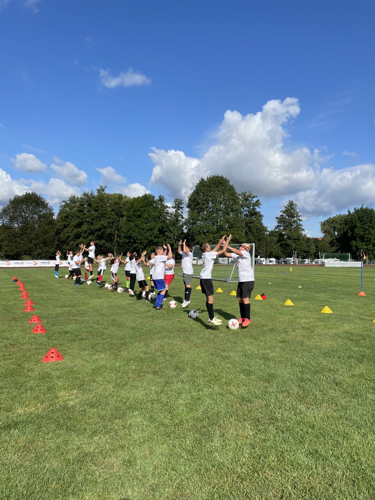 Eine Gruppe von jungen Fußballspielern trainiert auf einem grünen Spielfeld unter blauem Himmel. Die Kinder tragen weiße Trikots und schwarze Shorts, während sie Übungen mit Fußballen durchführen. Im Hintergrund sind Bäume und ein Tor zu sehen, die eine idyllische Trainingsumgebung schaffen.
