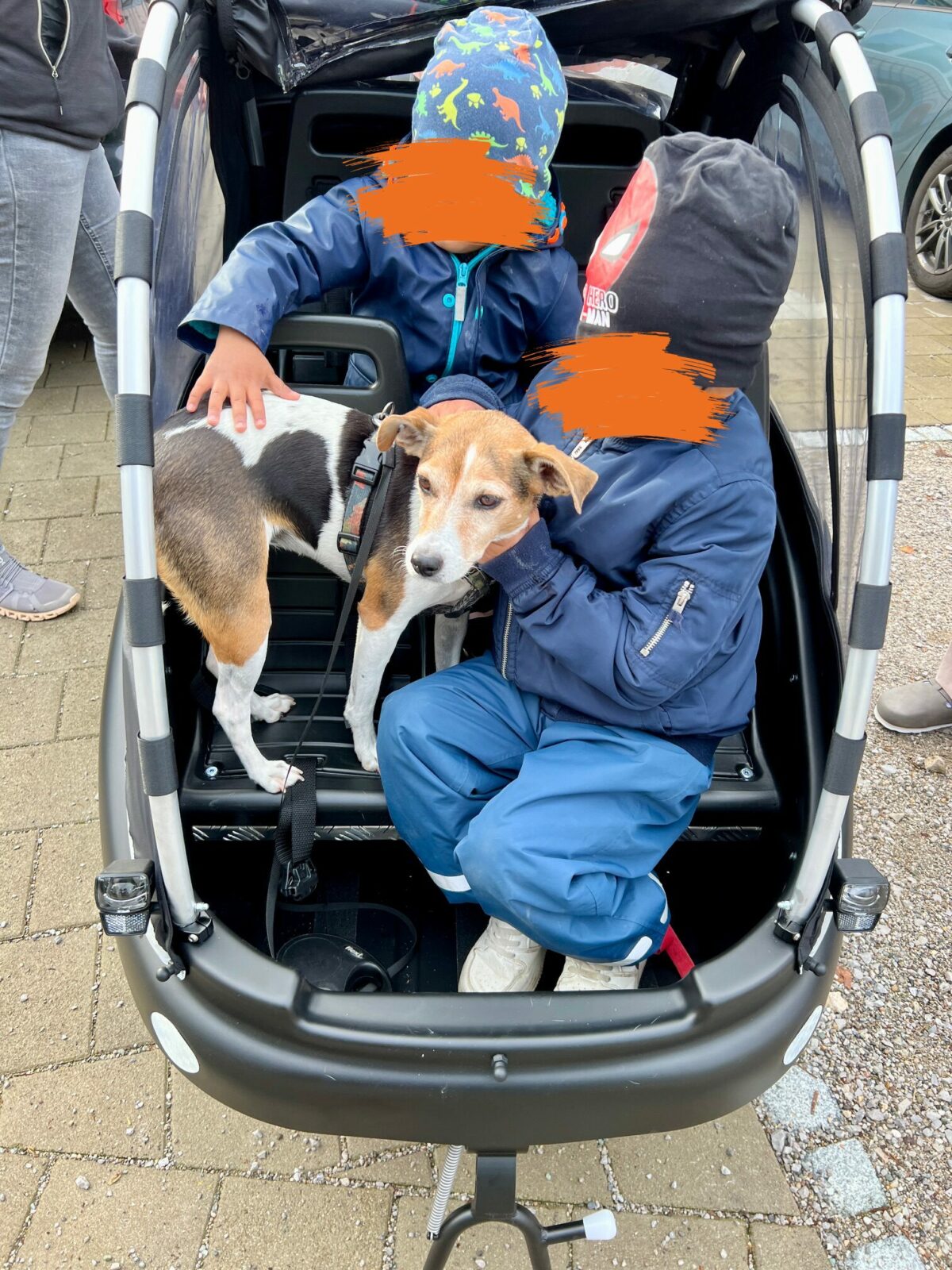 Zwei Kinder sitzen in einem schwarzen Fahrradanhänger und halten einen kleinen Hund mit braun-weißem Fell. Beide Kinder tragen Jacken und Mützen; das Gesicht eines Kindes ist durch eine bunte Mütze mit Dinosaurier-Motiven bedeckt, während das andere Kind eine schwarze Mütze trägt. Die Gesichter der Kinder sind unkenntlich gemacht. Der Hund sitzt ruhig zwischen den Kindern, die ihn jeweils mit einer Hand halten. Der Anhänger steht auf einem gepflasterten Boden.