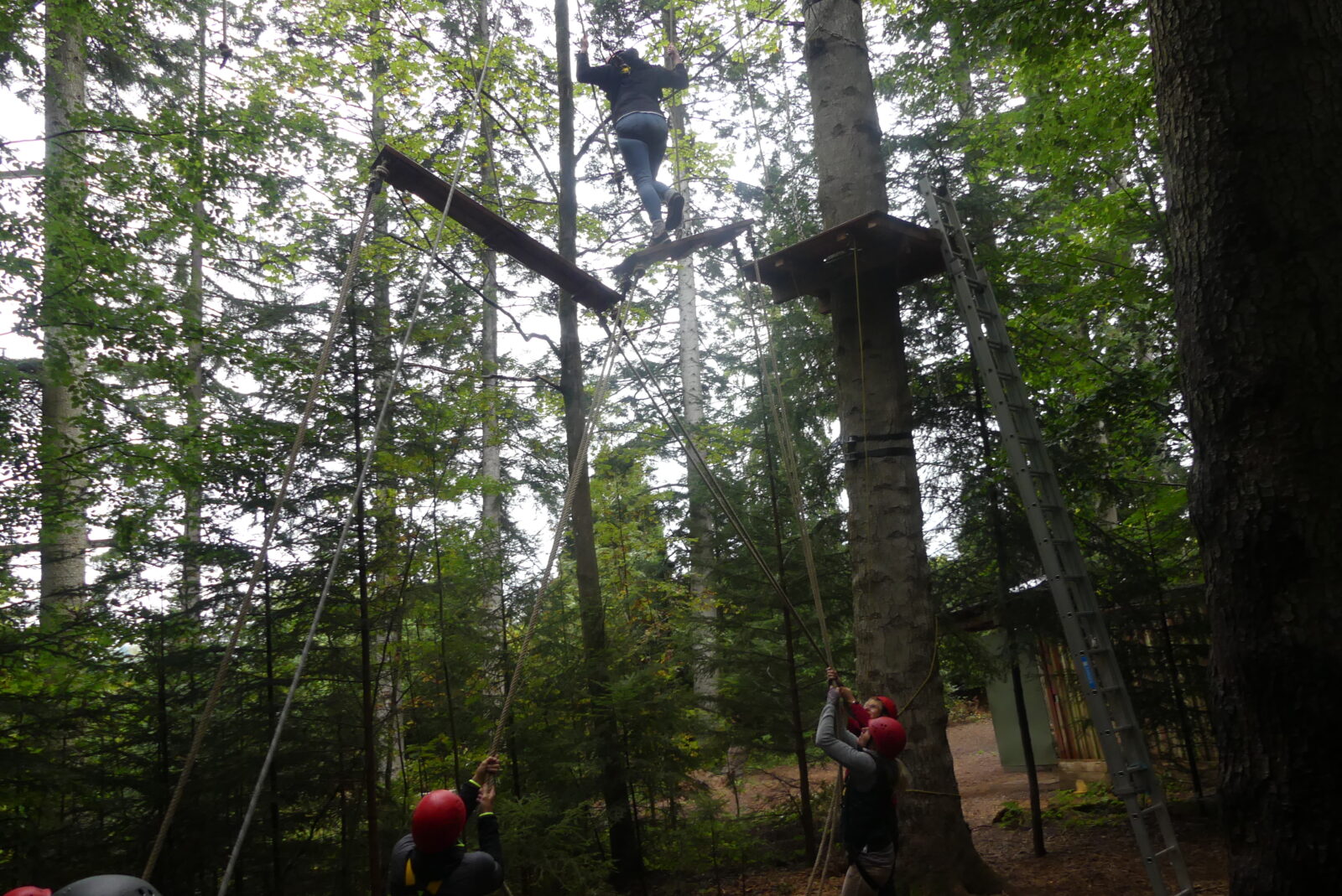 Ein junger Mensch balanciert mutig auf einem schmalen Holzsteg in einem Hochseilgarten, hoch oben zwischen Bäumen. Unter ihm stehen mehrere Personen mit roten Helmen und sichern ihn mit Seilen, während sie aufmerksam nach oben schauen. Die Szene spielt in einem Wald, umgeben von hohen, dichten Bäumen.