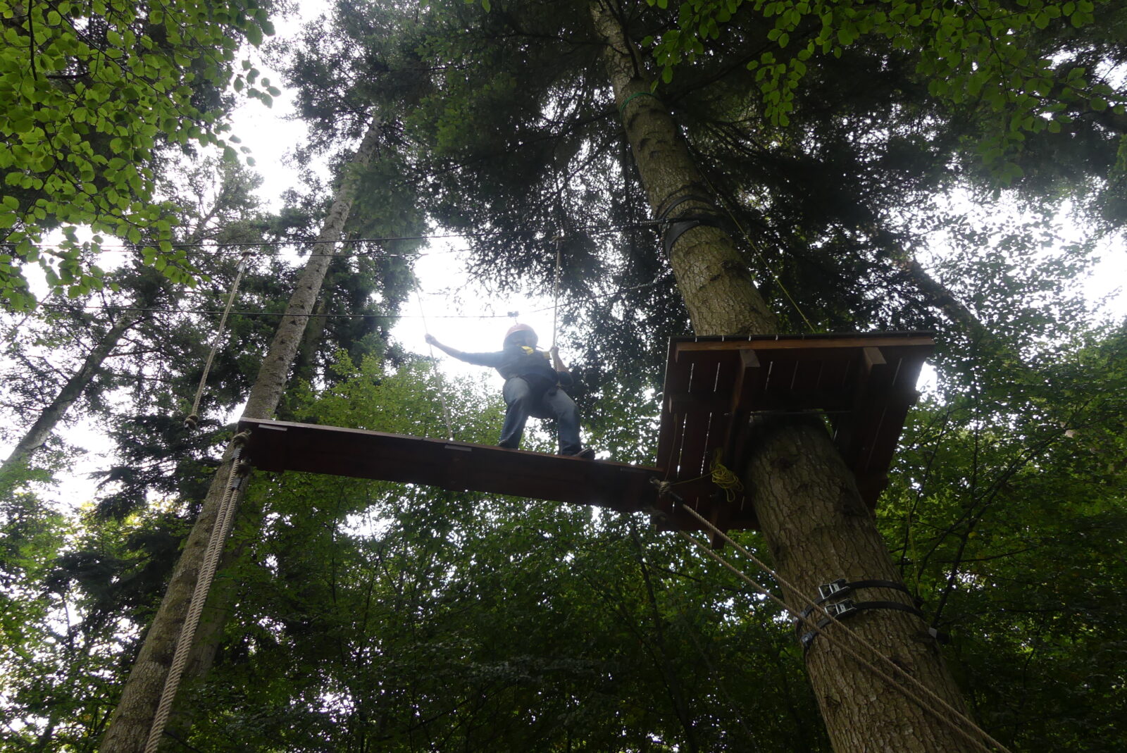 Eine Person steht auf einem schmalen Holzsteg hoch oben in einem Hochseilgarten, gesichert mit einem Klettergurt und Halteseilen. Die Person scheint konzentriert, während sie das Gleichgewicht hält, um von einer Plattform zur nächsten zu gelangen. Umgeben von hohen, dicht belaubten Bäumen, bietet die Szene einen spannenden Blick auf die Herausforderungen eines Kletterparks inmitten der Natur.