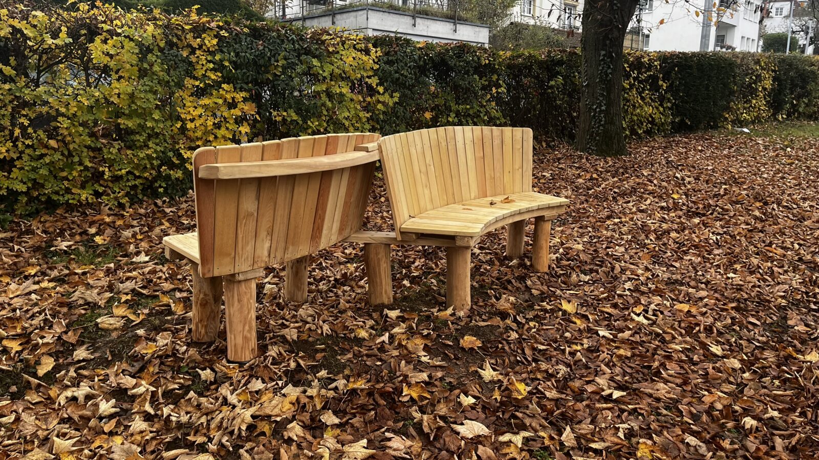 Das Bild zeigt zwei Holzbänke, die aneinander stehen und so gestellt sind, dass sie eine Art Welle Formen. Sie stehen auf Laub, vermutlich in einem Park. Im Hintergrund sieht man einen Baum, der fast all seine Blätter verloren hat und ein Reihenhaus.