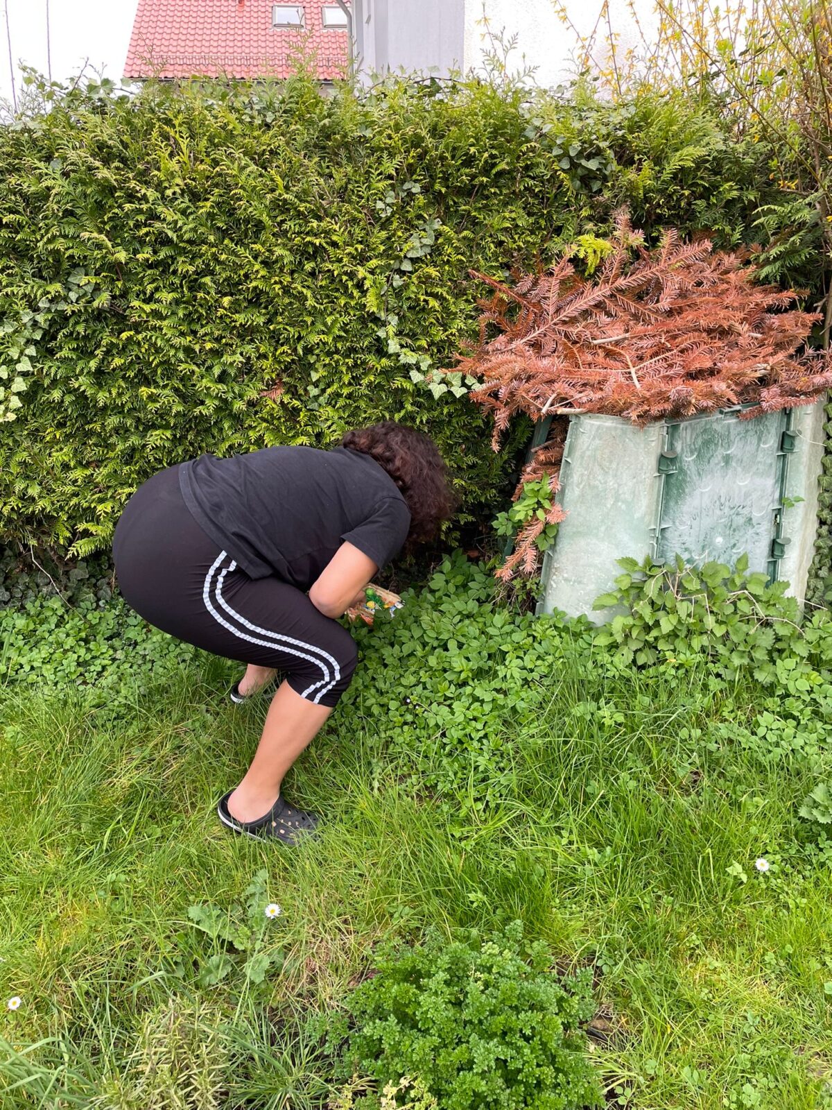 Das Bild zeigt eine Frau in einem Garten. Sie kniet auf der Wiese und schneidet mit einer Gartenschere Unkraut. Sie trägt schwarze Sportkleidung und Crocs.