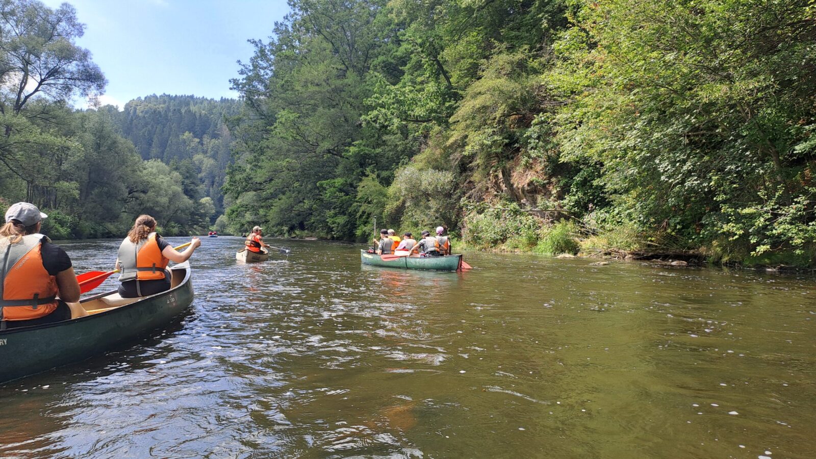 Eine Gruppe von Menschen paddelt in Kanus auf einem ruhigen Fluss, umgeben von üppigem Grün und hohen Bäumen. Sie tragen Schwimmwesten und genießen offensichtlich die Natur und das schöne Wetter. Der Fluss schlängelt sich durch eine malerische Waldlandschaft, die eine friedliche und entspannende Atmosphäre schafft.