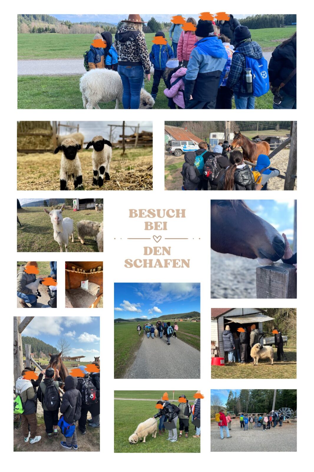 Eine Gruppe von Kindern besucht einen Bauernhof und interagiert mit verschiedenen Tieren wie Schafen und Pferden. Die Collage zeigt mehrere Szenen, darunter Kinder, die Schafe streicheln, Lämmer auf einem Feld und die Gruppe beim Spaziergang durch die Landschaft. Der Text "Besuch bei den Schafen" ist in der Mitte der Collage platziert.