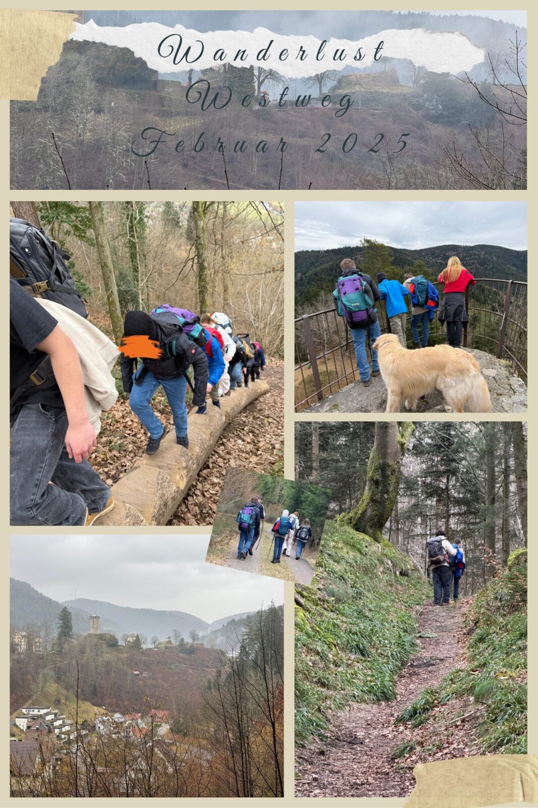 Eine Gruppe von Wanderern, begleitet von einem Hund, erkundet den Westweg im Schwarzwald im Februar 2025. Die Collage zeigt verschiedene Szenen der Wanderung, darunter eine Gruppe, die auf einem Baumstamm balanciert, sowie wunderschöne Landschaftsansichten und dichte Wälder. Die Wanderer tragen Rucksäcke und warme Kleidung, während sie die Natur genießen.