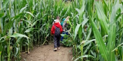 Zwei Kinder gehen auf einem schmalen, erdigen Weg durch ein hohes Maisfeld. Das Maisfeld ist dicht bewachsen, und die Pflanzen ragen über die Köpfe der Kinder hinaus. Im Hintergrund sind einige Bäume und ein bewölkter Himmel zu sehen.