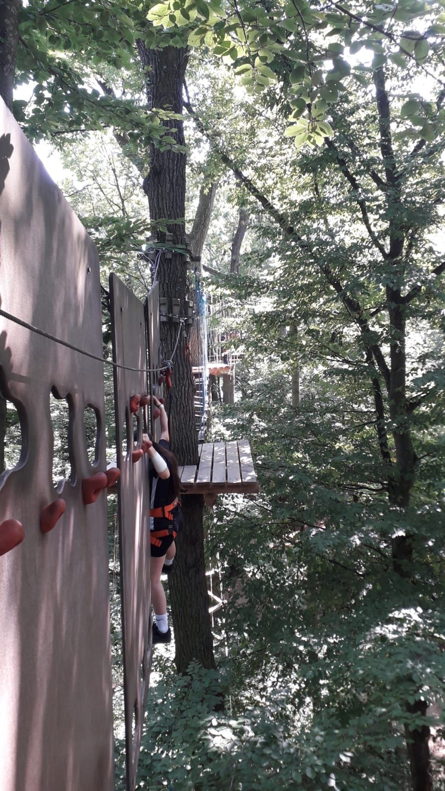 Eine Person klettert in einem Hochseilgarten an einer Wand mit Griffen und Tritten entlang. Sie trägt eine Sicherheitsausrüstung mit Klettergurt und ist von Bäumen und Plattformen umgeben. Die Szene spielt sich inmitten eines dicht bewachsenen Waldes ab.