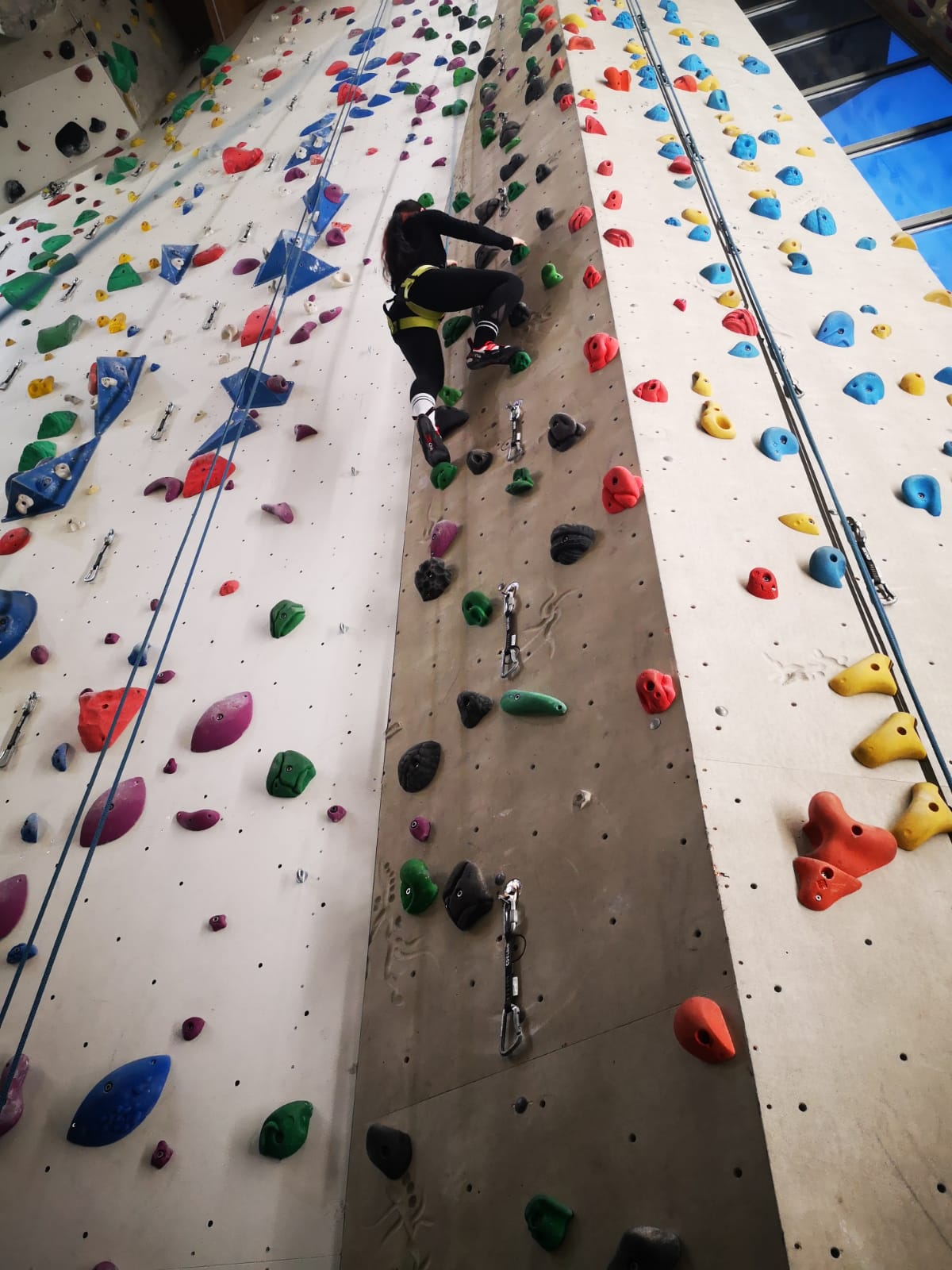 Eine Person klettert an einer Indoor-Kletterwand mit bunten Griffen und Tritten. Sie trägt eine Kletterausrüstung, einschließlich eines Sicherheitsgurtes, und bewegt sich konzentriert nach oben. Die Wand ist mit verschiedenen Schwierigkeitsgraden ausgestattet, die durch die Farben der Griffe gekennzeichnet sind.