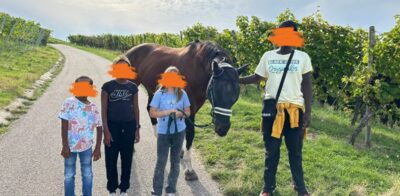 Eine Gruppe von vier Kindern, deren Gesichter unkenntlich gemacht wurden, steht neben einem Pferd auf einem Feldweg.