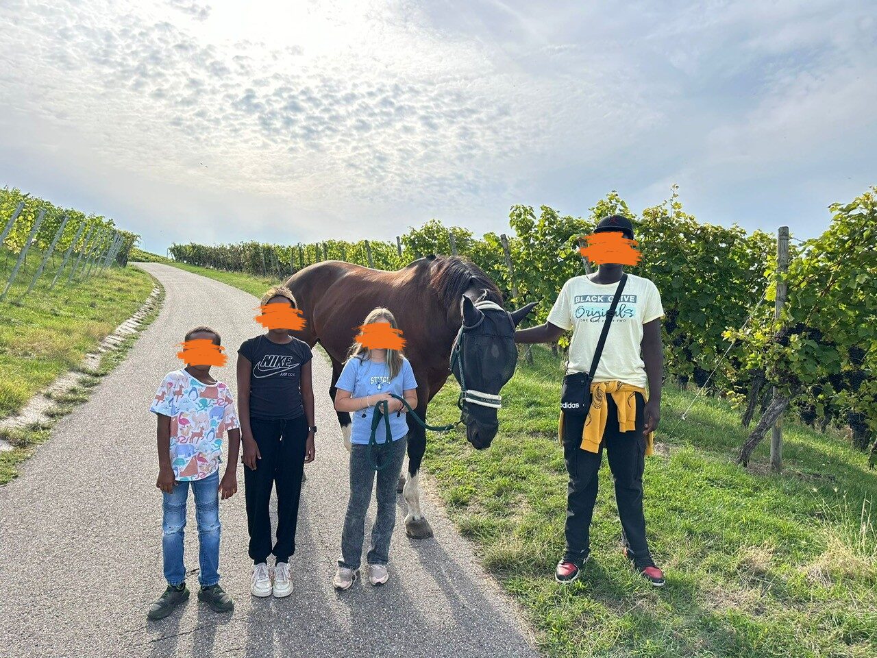Eine Gruppe von vier Kindern, deren Gesichter unkenntlich gemacht wurden, steht neben einem Pferd auf einem Feldweg.