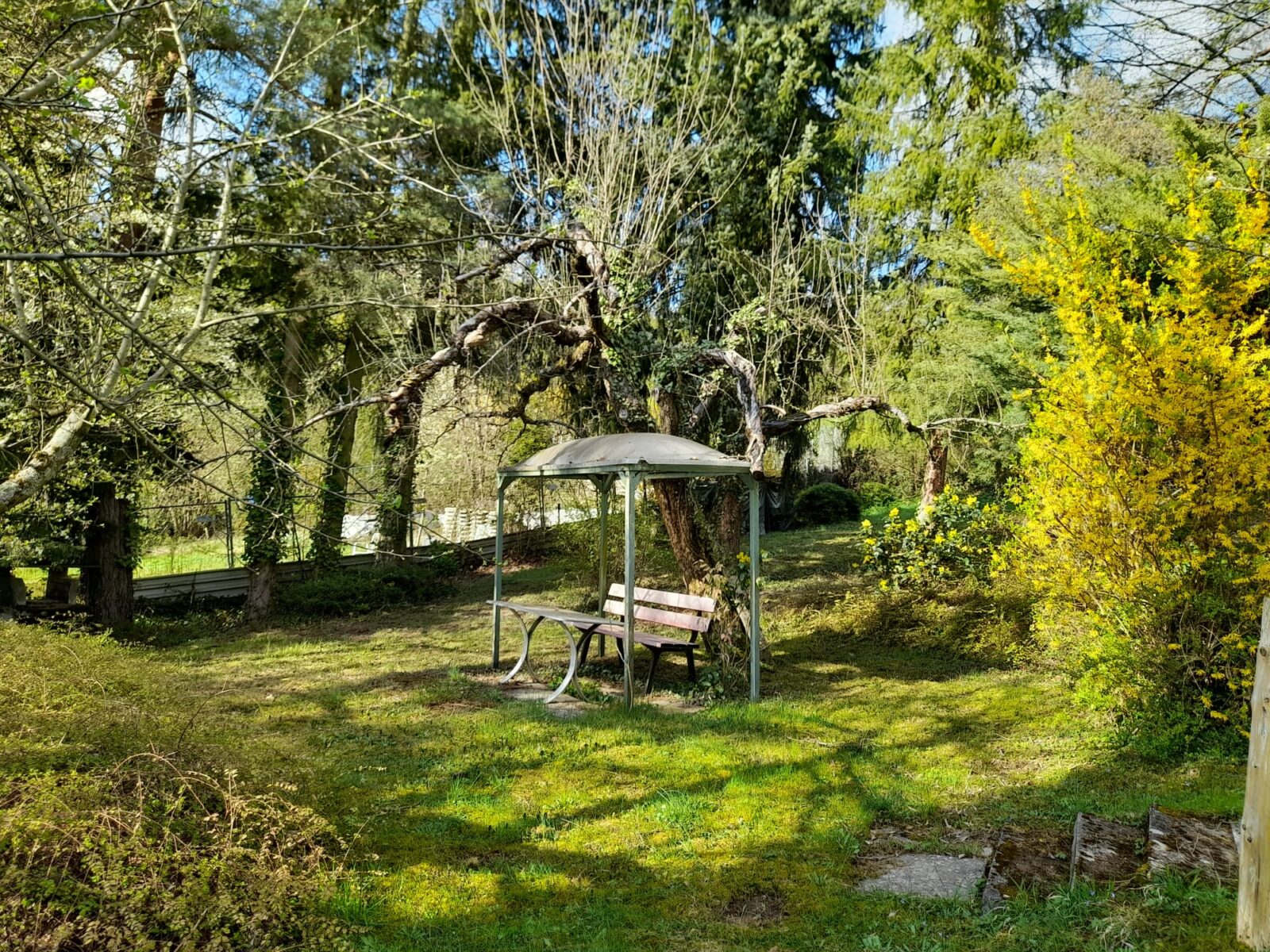 Im Hintergrund sieht man einen idyllischen Garten mit viel grün und eine helle Bank steht mittendrinnen.