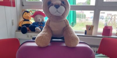 Ein lila Koffer mit einem Etikett, das "Family Literacy" zeigt, steht auf einem Tisch. Ein Stofftier Fuchs sitzt auf dem Koffer. Im Hintergrund sind zwei weitere Stofftiere, ein Bienen- und ein Bärenplüschtier, auf der Fensterbank zu sehen.