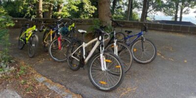 Eine Reihe von Fahrrädern, darunter Mountainbikes und Kinderfahrräder, ist auf einem Parkplatz neben einer Baumreihe abgestellt. Die Fahrräder sind in verschiedenen Farben und Größen, einige mit Helmen darauf.