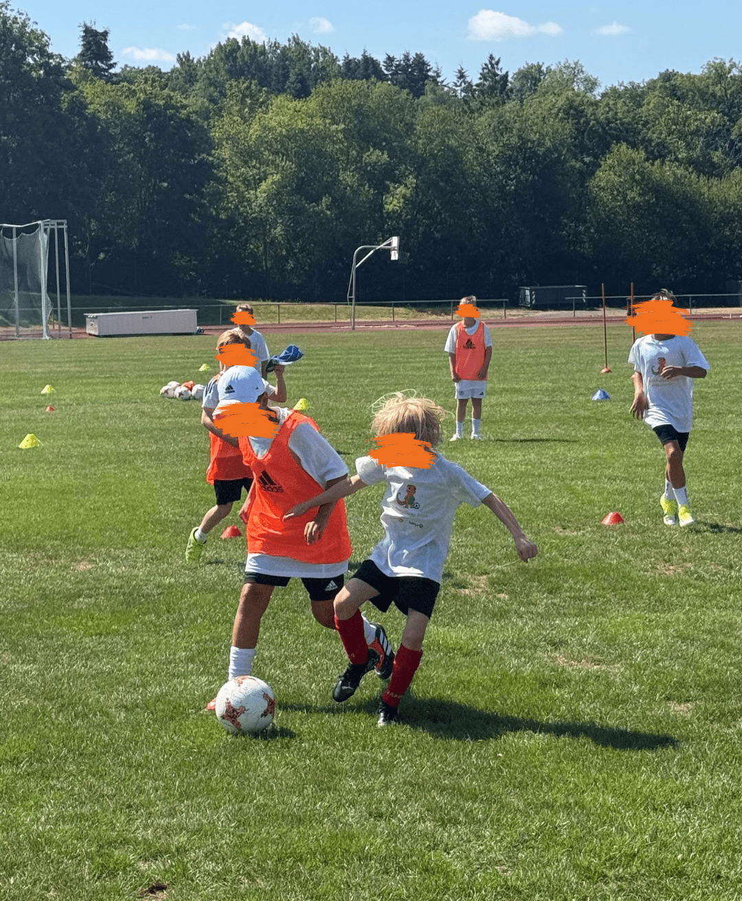Mehrere Kinder spielen bei sonnigem Wetter Fußball auf einem grünen Rasenplatz während eines Trainings. Im Vordergrund kämpfen zwei Jungen intensiv um den Ball, wobei einer ein orangefarbenes Leibchen und der andere ein weißes T-Shirt trägt. Im Hintergrund sind weitere Mitspieler in Sportkleidung, Trainingshütchen, Tore und eine dichte Baumreihe zu sehen.