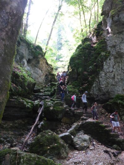 Eine Gruppe von Menschen wandert durch eine felsige Schlucht, die von üppigem Grün und Moos bedeckt ist. Die steilen Felswände und die dichten Bäume lassen nur wenig Licht durch, was eine mystische Atmosphäre schafft. Einige der Wanderer tragen Rucksäcke und nutzen Wanderstöcke, während sie die steinigen und unebenen Pfade überwinden.