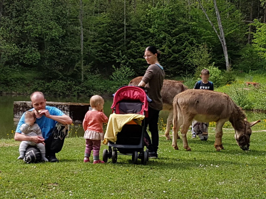 Eine Familie genießt einen sonnigen Tag im Grünen, umgeben von Eseln. Ein Mann hockt mit einem Kleinkind auf dem Gras, während ein anderes kleines Kind neben einem Kinderwagen steht. Im Hintergrund füttert ein Junge einen Esel, während ein weiterer Erwachsener ebenfalls in der Nähe der Tiere ist.