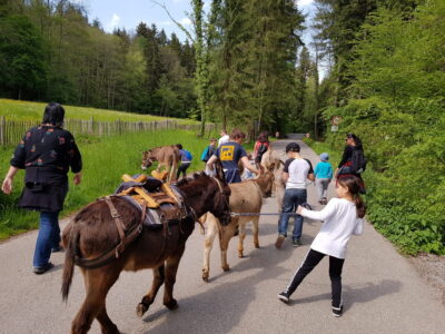 Eine Gruppe von Menschen geht mit mehreren Eseln auf einem Waldweg spazieren. Die Umgebung ist grün und bewaldet, mit einer Wiese und einem Holzzaun auf der linken Seite. Kinder und Erwachsene führen die Esel an Leinen, während sie den Weg entlang schlendern und die Natur genießen.