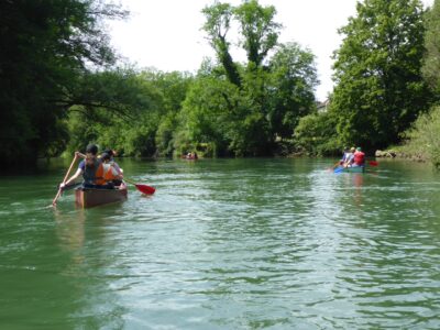Mehrere Gruppen von Menschen paddeln in Kanus auf einem ruhigen Fluss, umgeben von üppigem, grünem Wald. Die vorderste Gruppe besteht aus drei Personen, die sich konzentriert beim Paddeln zeigen, während weiter hinten andere Kanuten sichtbar sind. Der Himmel ist klar und sonnig, was auf einen schönen Tag für Outdoor-Aktivitäten hinweist.