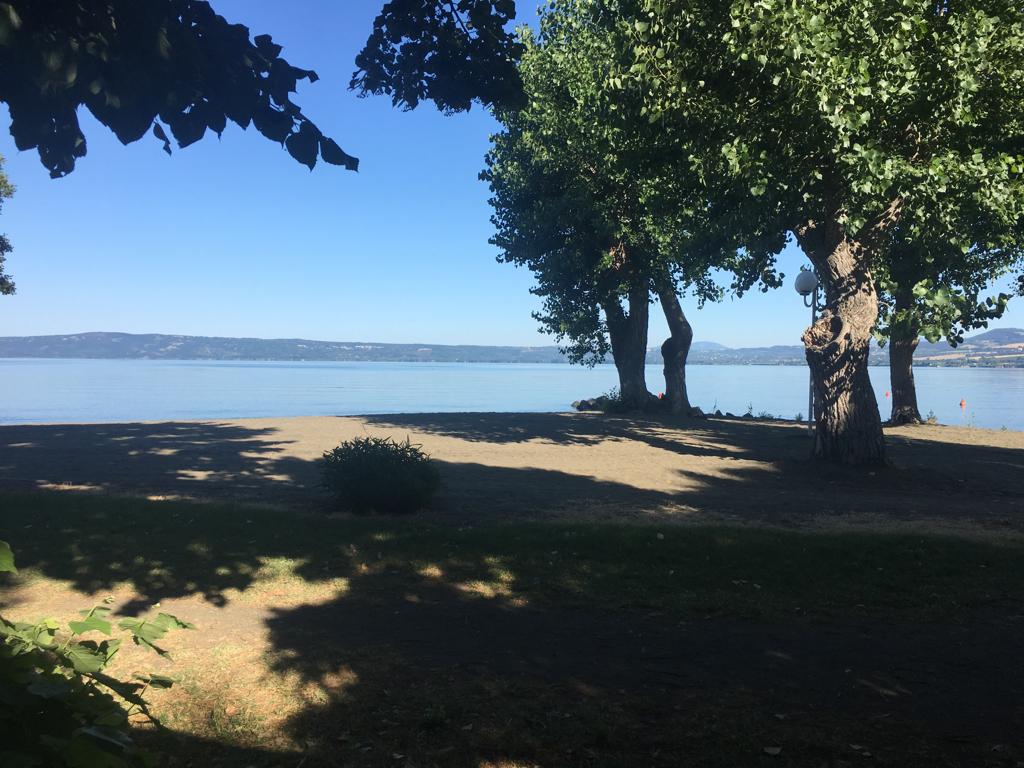 Ein ruhiger See an einem sonnigen Tag, umgeben von grünen Bäumen und einem sandigen Ufer. Die Bäume werfen Schatten auf den Boden und das Wasser ist ruhig und klar. Im Hintergrund sind Hügel und ein blauer Himmel zu sehen.