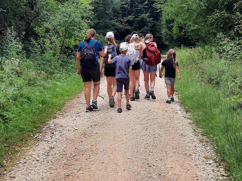 Eine Gruppe von Menschen, darunter Kinder und Erwachsene, wandert auf einem Kiesweg durch einen grünen Wald. Sie tragen Rucksäcke und Sommerkleidung, während sie sich auf dem Weg unterhalten und die Natur genießen