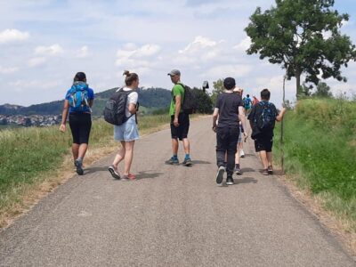 Eine Gruppe von Wanderern geht auf einem ländlichen Weg, umgeben von grünen Feldern und Hügeln. Einige der Wanderer tragen Rucksäcke und Wanderkleidung, während sie sich unterhalten und die Natur genießen. Der Himmel ist leicht bewölkt, was auf einen angenehmen Tag zum Wandern hinweist.