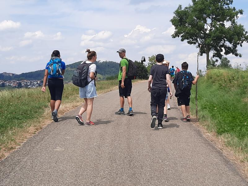 Eine Gruppe von Wanderern geht auf einem ländlichen Weg, umgeben von grünen Feldern und Hügeln. Einige der Wanderer tragen Rucksäcke und Wanderkleidung, während sie sich unterhalten und die Natur genießen. Der Himmel ist leicht bewölkt, was auf einen angenehmen Tag zum Wandern hinweist.