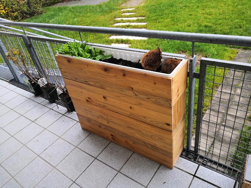 Ein rechteckiger Holzpflanzkasten steht auf einem gefliesten Balkon. In dem Pflanzkasten wachsen grüne Pflanzen, und zwei Sonnenblumenknospen liegen darauf. Im Hintergrund ist ein grüner Rasen mit einem gepflasterten Weg zu sehen.
