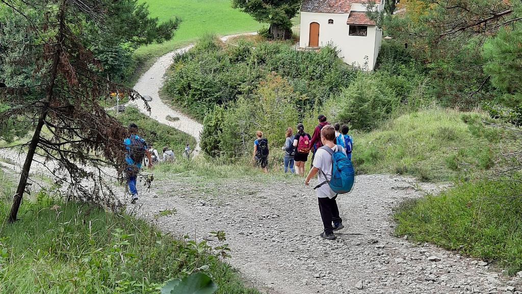 Eine Gruppe von Menschen wandert einen steinigen Weg hinauf. Sie tragen Rucksäcke und scheinen eine Wanderung in der Natur zu unternehmen.