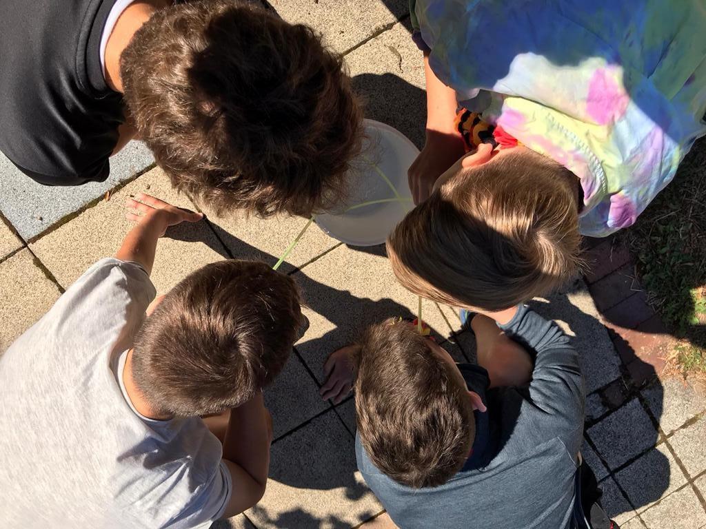 Vier Kinder beugen sich über einen Eimer und trinken durch lange, dünne Strohhalme. Sie befinden sich auf einem gepflasterten Boden und es scheint ein sonniger Tag zu sein. Die Kinder sind in Freizeitkleidung gekleidet und wirken konzentriert auf ihre Aktivität.