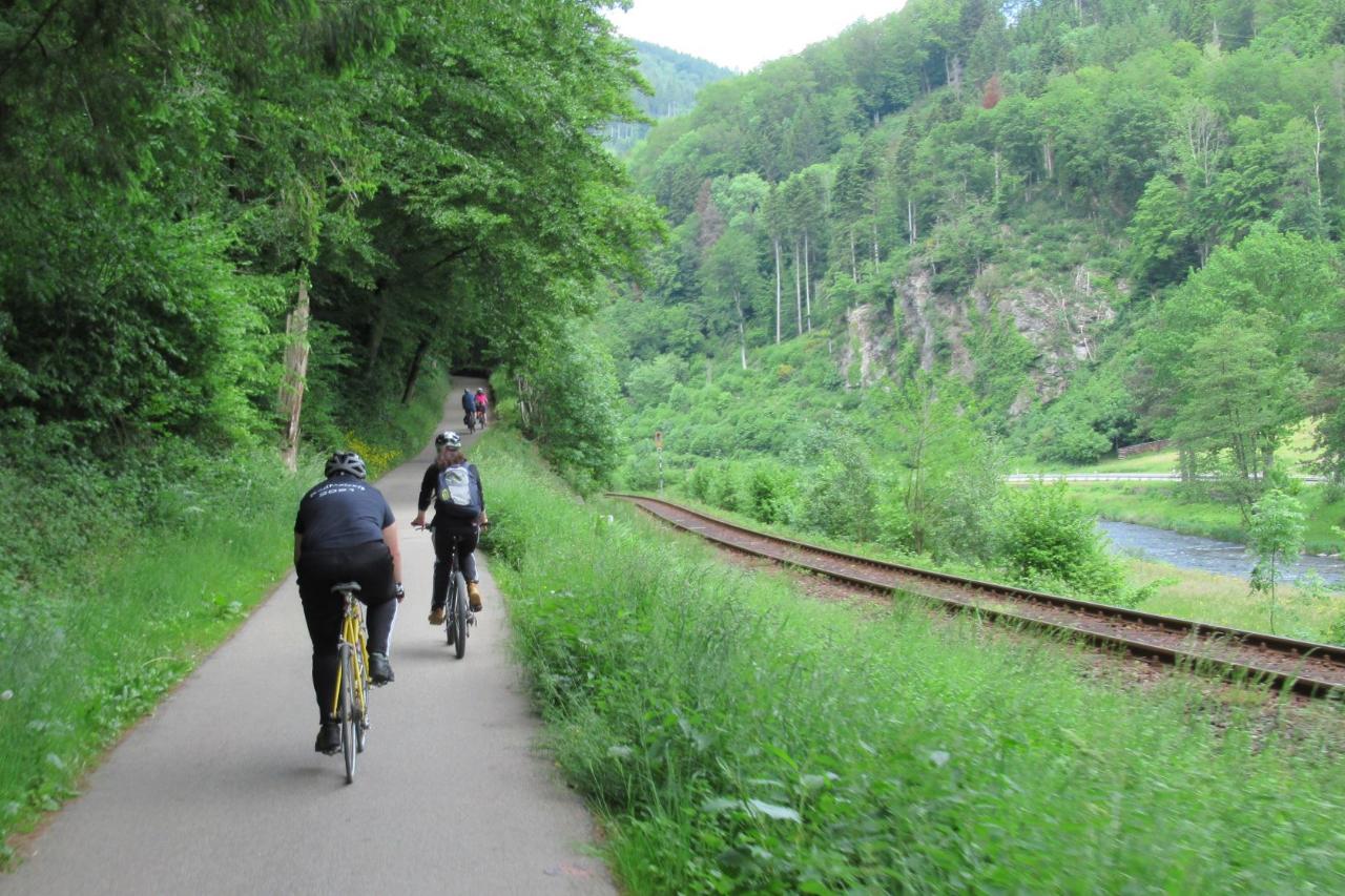 Eine Gruppe von Radfahrern fährt auf einem schmalen, asphaltierten Weg durch eine grüne, bewaldete Landschaft. Neben dem Weg verläuft eine Eisenbahnstrecke, die sich entlang eines Flusses schlängelt. Die Umgebung ist üppig und grün, mit hohen Bäumen und dichtem Unterholz.