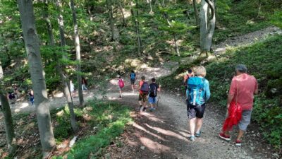 Eine Gruppe von Menschen wandert auf einem schattigen Waldweg. Sie sind umgeben von hohen Bäumen und dichtem Grün. Einige tragen Rucksäcke und Wanderstöcke, während sie den Weg hinuntergehen.
