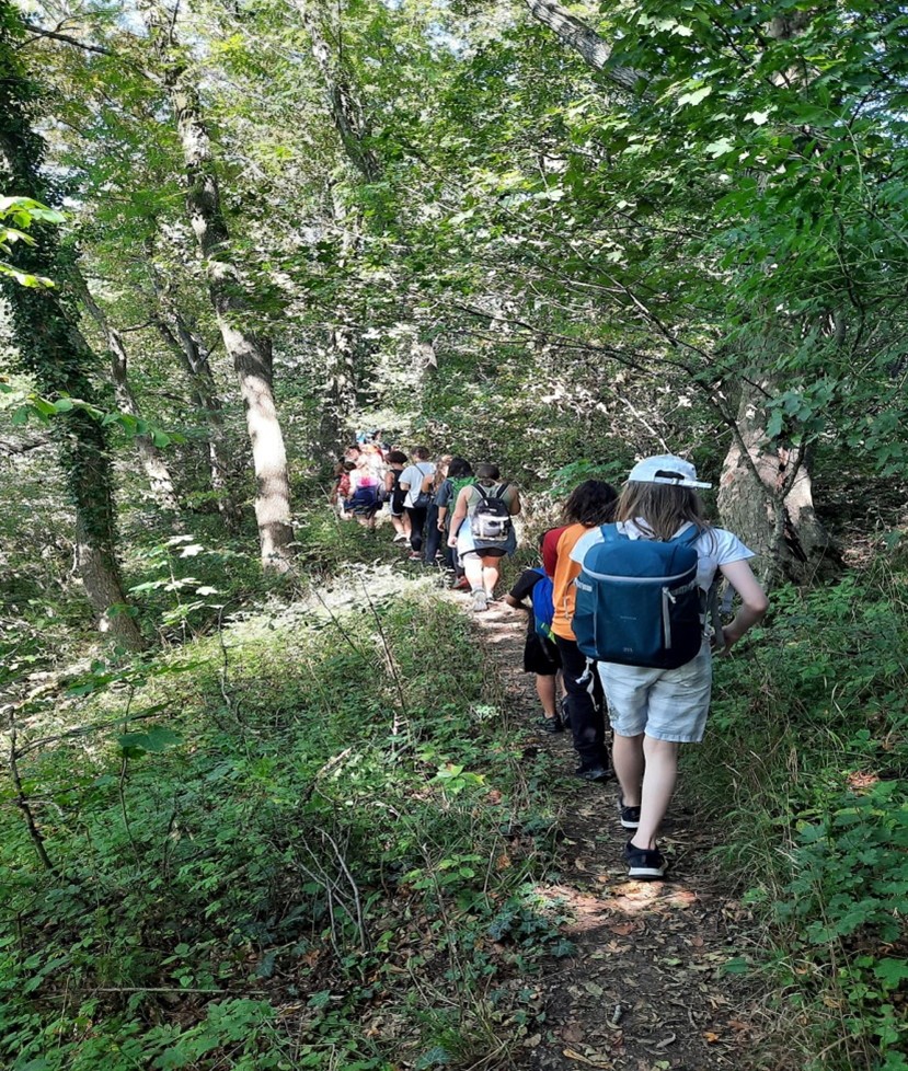 Eine Gruppe von Menschen wandert auf einem schmalen Pfad durch einen dicht bewachsenen Wald.