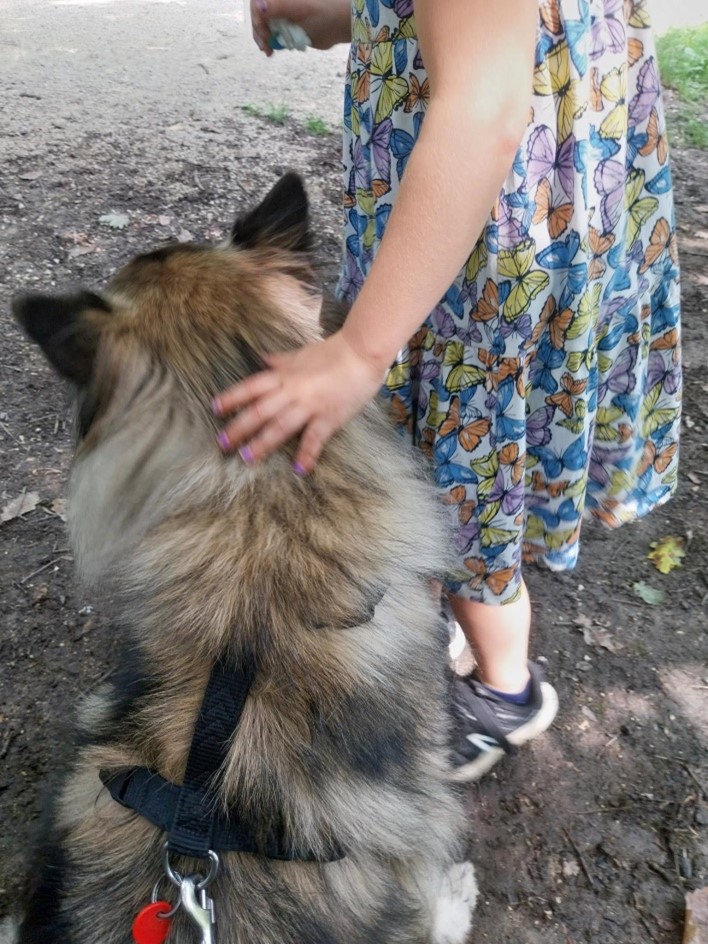 Ein Mädchen in einem bunten Kleid mit Schmetterlingsmuster streichelt einen großen, flauschigen Hund mit einem Geschirr.