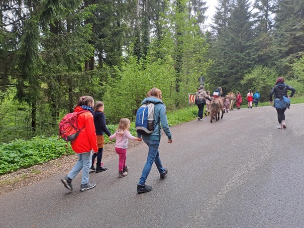 Gruppe von Menschen, darunter Kinder und Erwachsene, die auf einer Waldstraße spazieren gehen. Einige tragen Rucksäcke und folgen zwei Eseln. Die Umgebung ist grün und bewaldet.