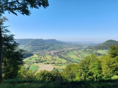 Panoramablick auf eine grüne Landschaft mit Feldern und Hügeln unter klarem blauem Himmel und Bäume rahmen den Vordergrund.
