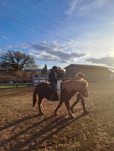 Ein KLind sitzt in einem Sattel auf einem braunen Pony und eine Frau führt das Pferd. Sie gehen auf der Koppel umher. Die Sonne scheint und der Himmel, ist blau.