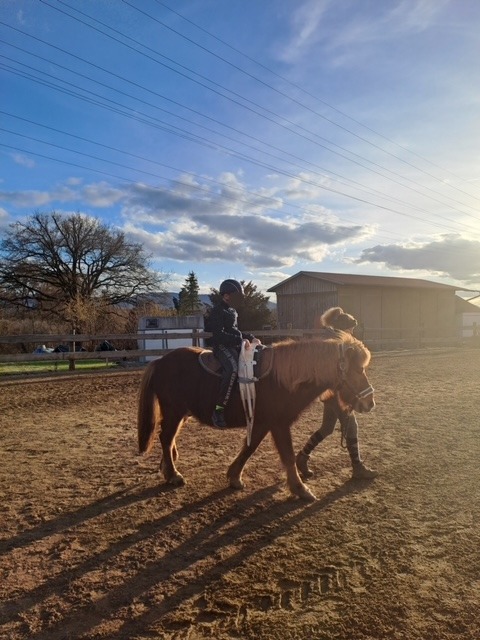 Ein KLind sitzt in einem Sattel auf einem braunen Pony und eine Frau führt das Pferd. Sie gehen auf der Koppel umher. Die Sonne scheint und der Himmel, ist blau.