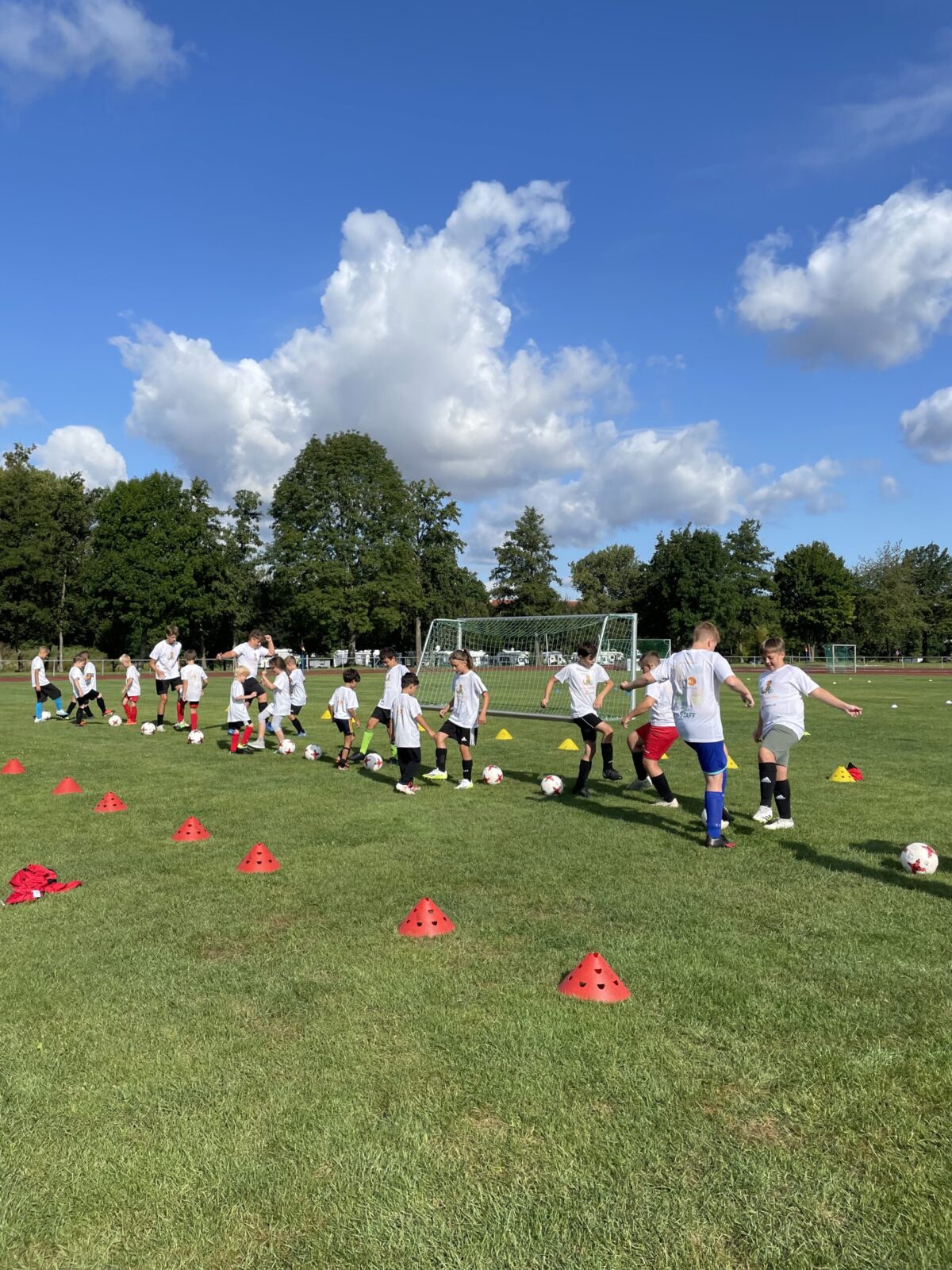 Eine Gruppe von Kindern trainiert auf einem Fußballplatz unter blauem Himmel mit einigen Wolken. Sie tragen weiße T-Shirts und schwarze Shorts, während sie Übungen mit Fußballen und roten Hütchen durchführen. Im Hintergrund sind grüne Bäume und ein Fußballtor zu sehen, die eine entspannte und naturverbundene Atmosphäre schaffen.