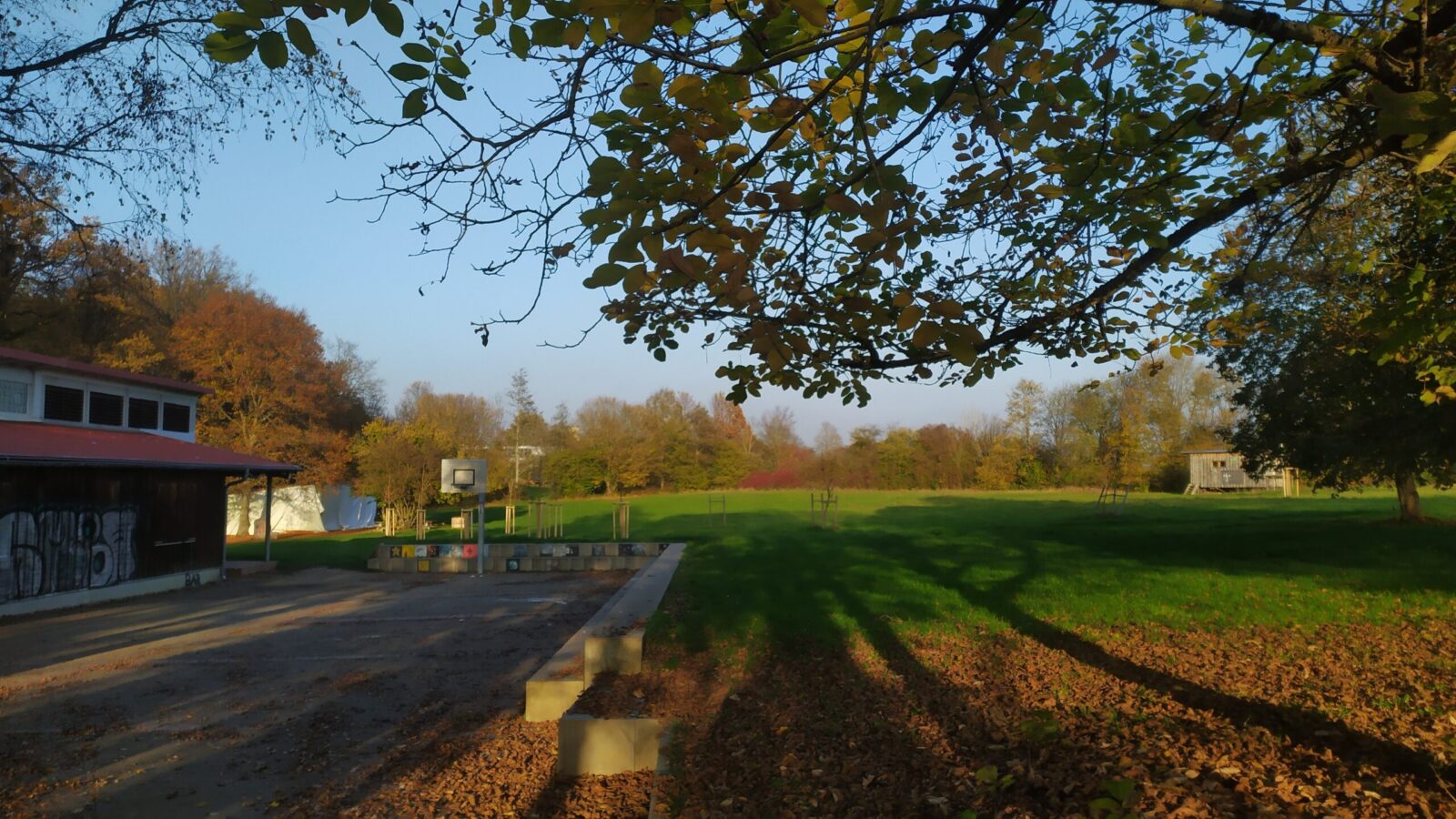 Weitblick einer grünen Wiese mit Bäumen.