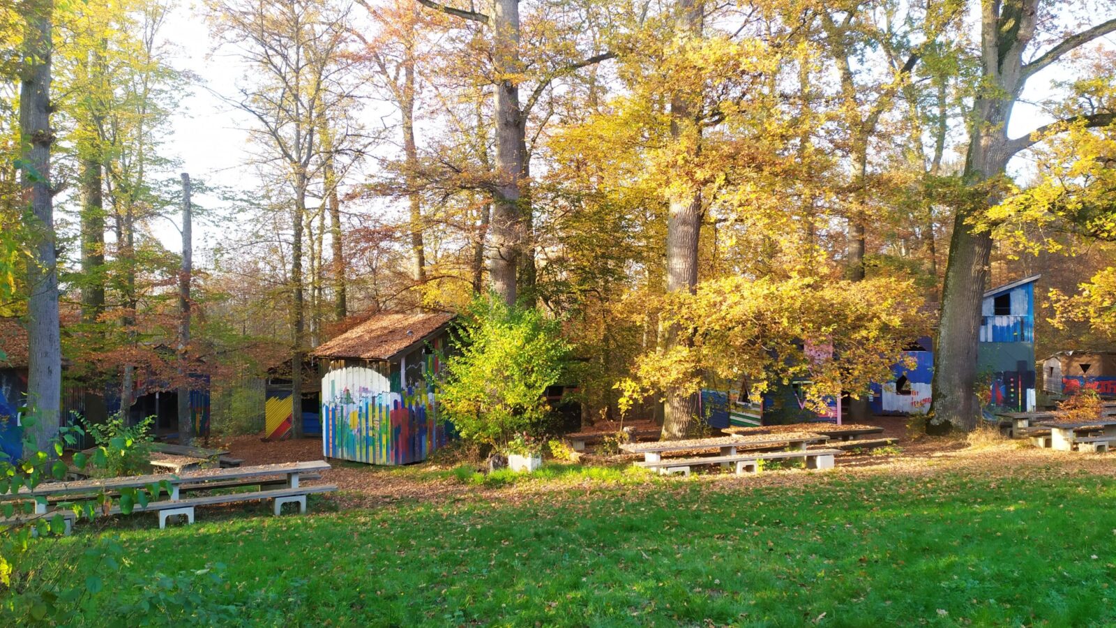 Wald mit einer Hütte und Sitzgelegenheiten.